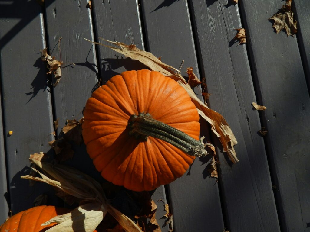 Pumpkin cookies
